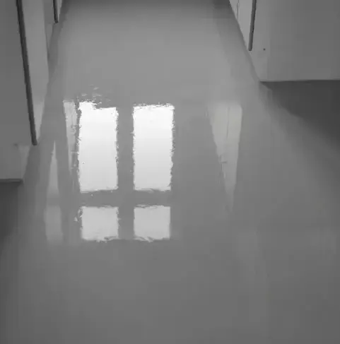 déssouchage Ploudalmézeau-1